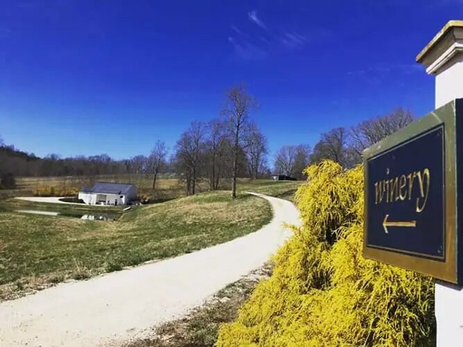 Picture of Lovingston Winery