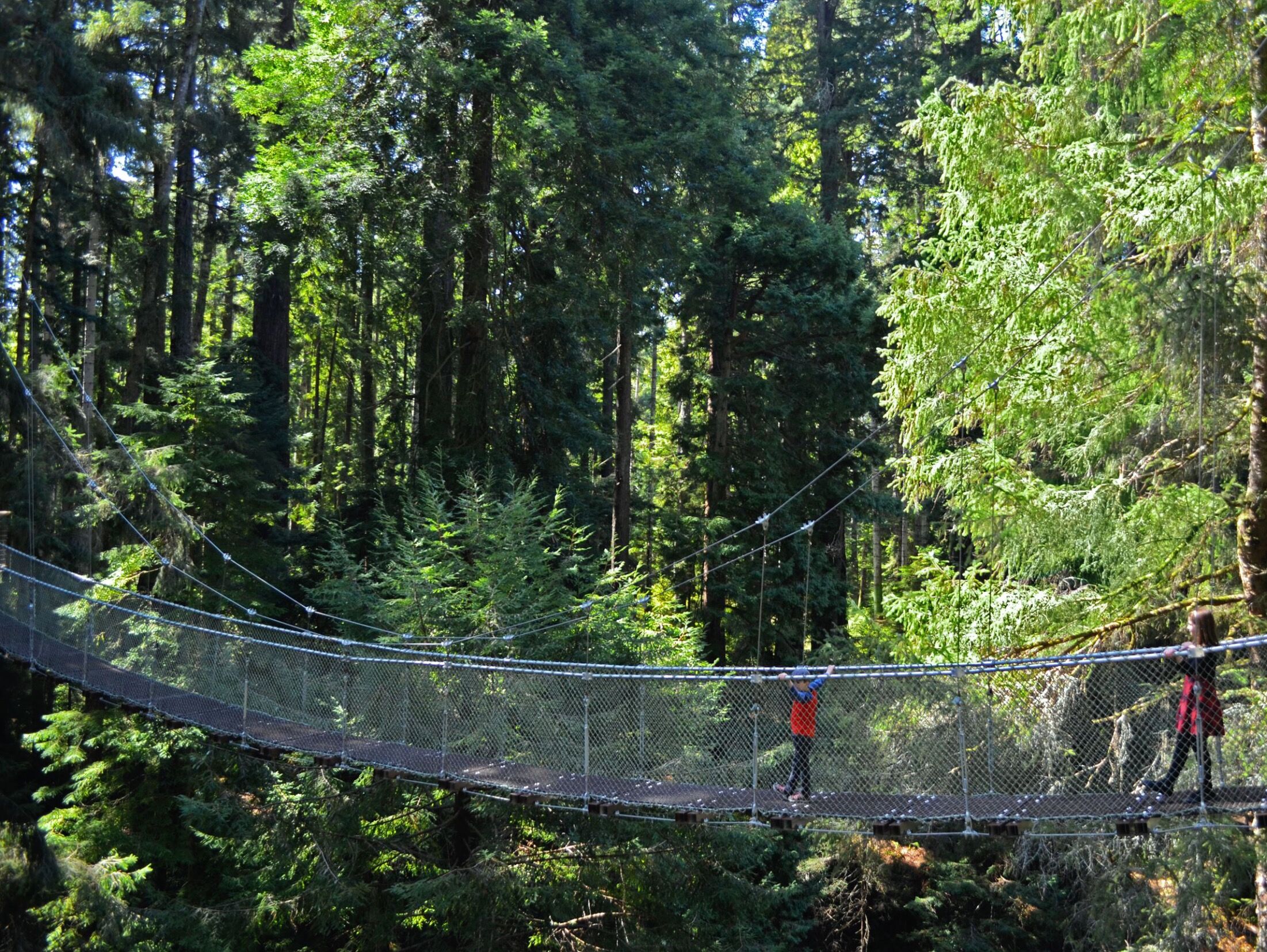 Picture of Sequoia Park Zoo