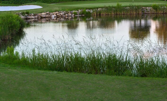 Picture of Hyatt Hill Country Golf Club