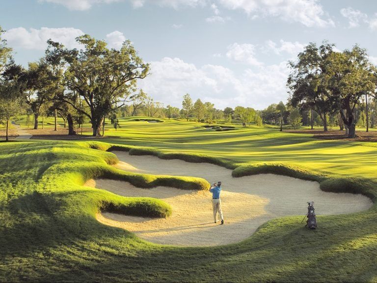 Picture of Fallen Oak Golf