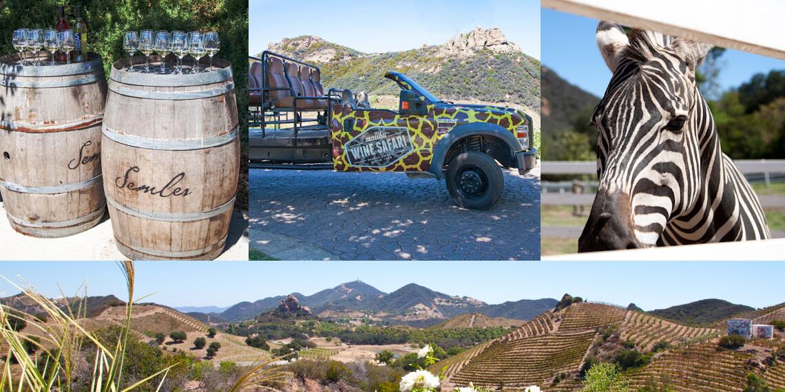 Picture of Malibu Wine Safaris