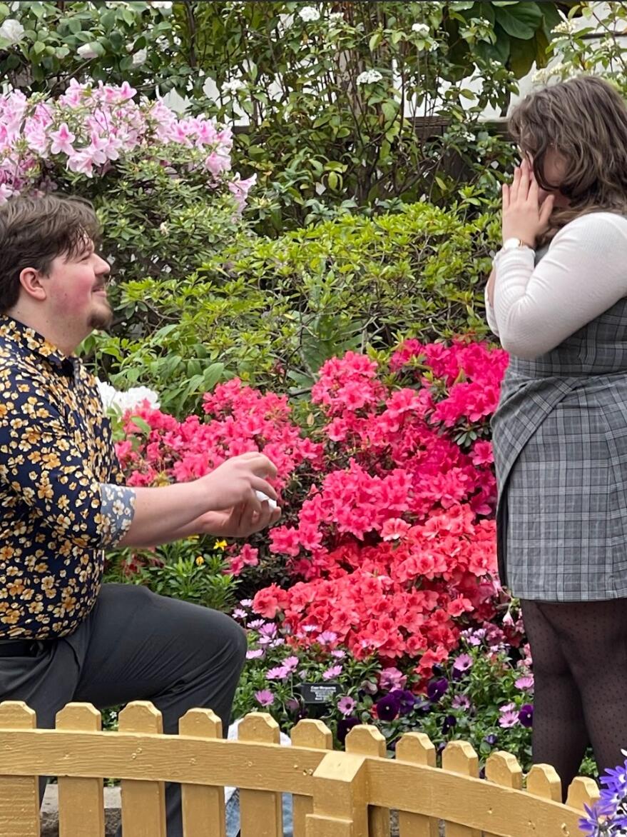 Picture of The Proposal