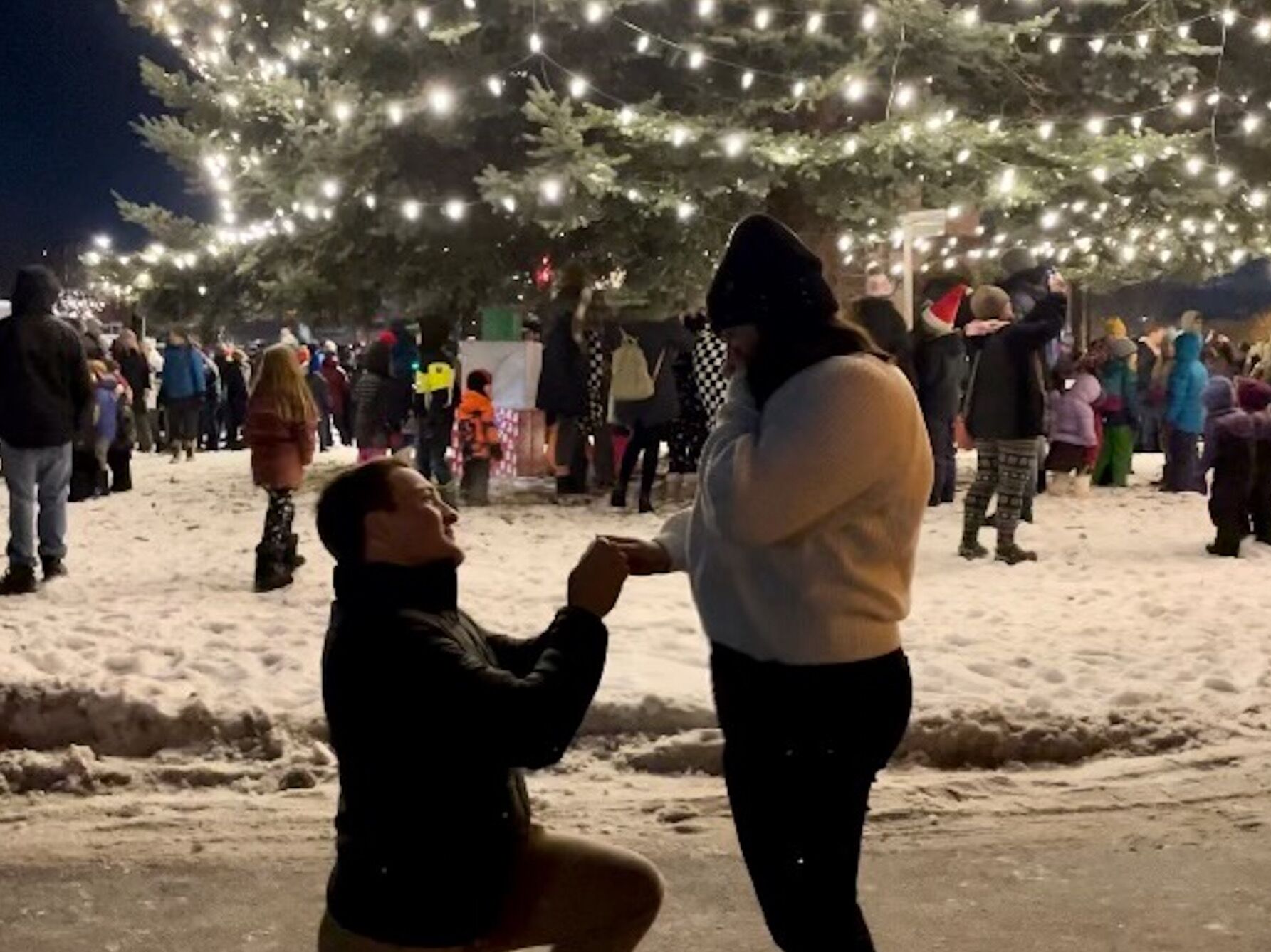 Picture of The Proposal 