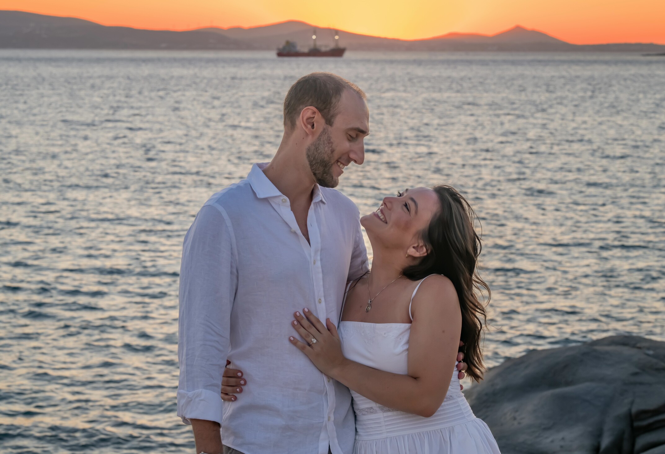 Dominique & Adam Home Page Banner