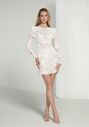 Justin Alexander Signature Cher Wedding Dress - thumbnail - 1