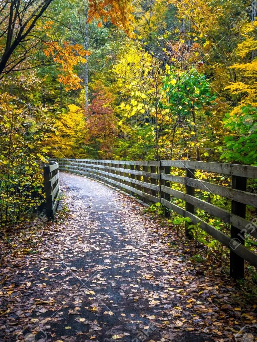Picture of Virginia Creeper Trail Welcome Center