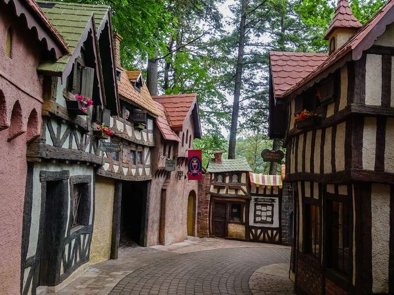 Picture of Enchanted Forest