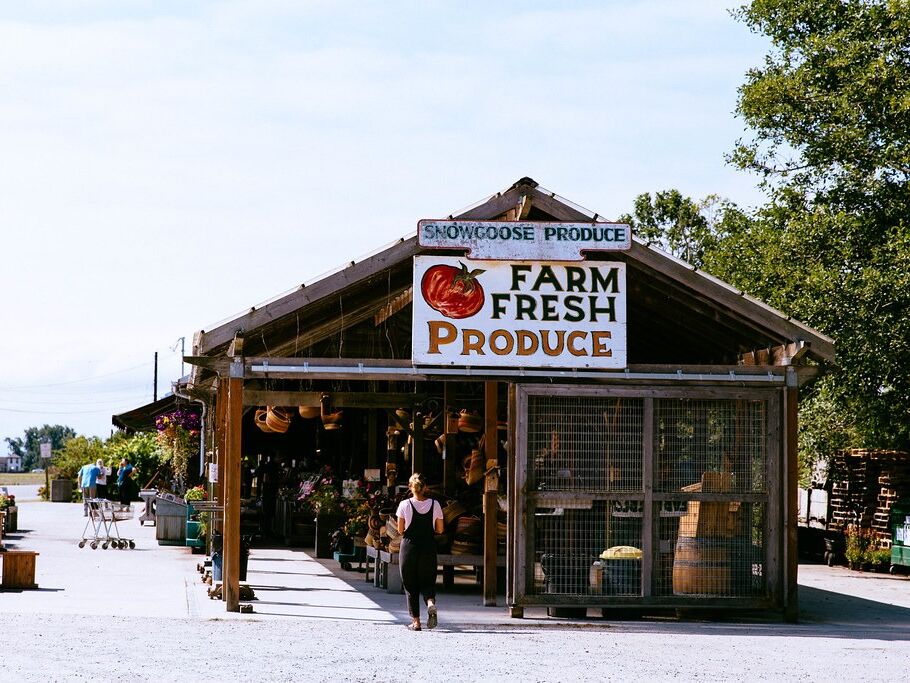 Picture of Snow Goose Produce