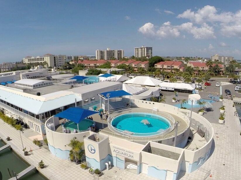 Picture of Clearwater Marine Aquarium