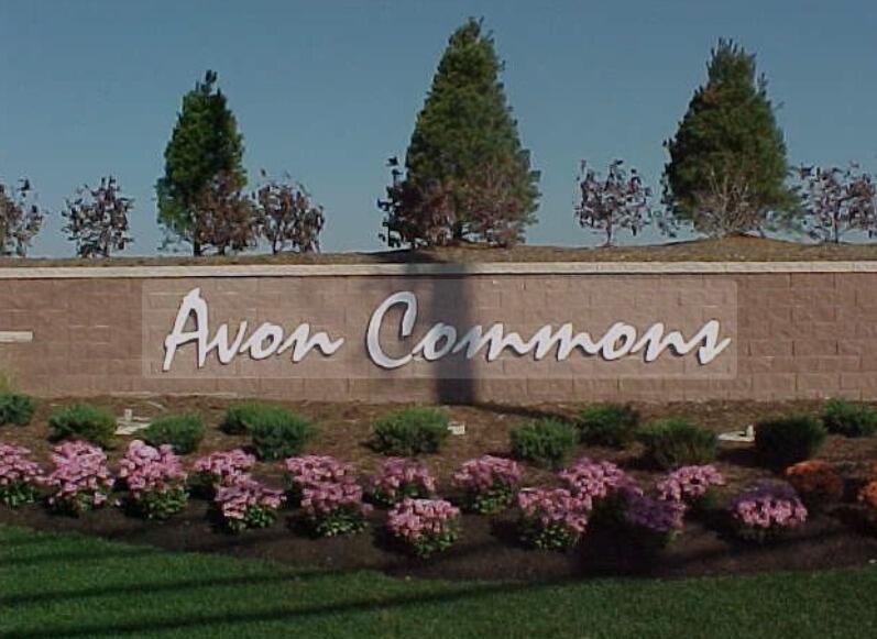 Picture of Avon Commons Shopping Center