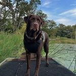 Oakley