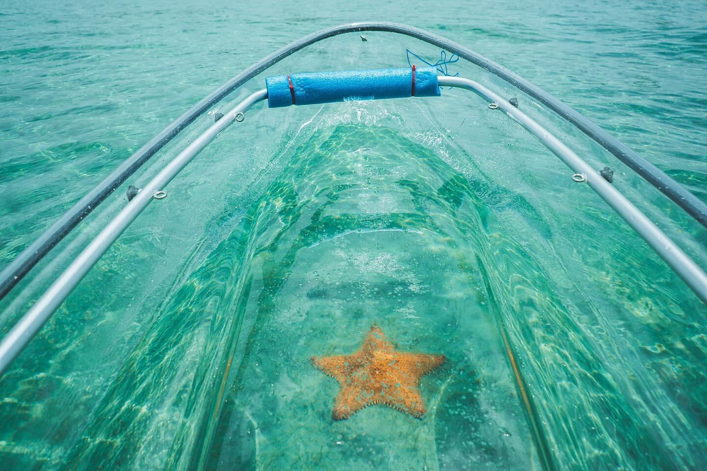 Picture of Get Up and Go Clear Kayaking