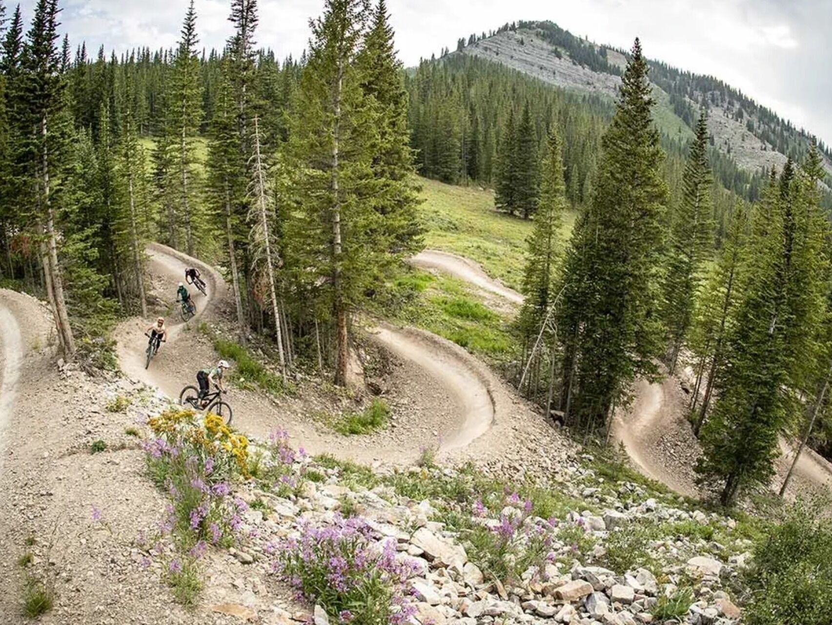 Picture of Mountain Biking (or E-bike/City/Road Biking)