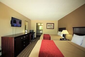 Picture of The Night Inn