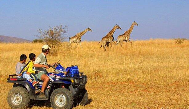 Picture of Aquila Private Game Reserve & Safaris