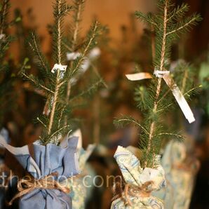 Sapling Wedding Favors