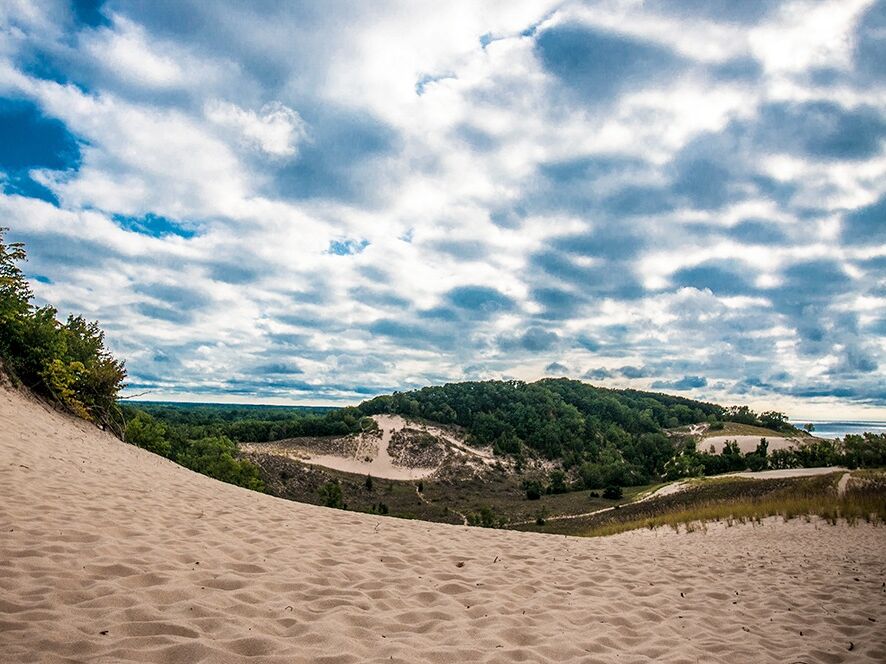 Picture of Warren Dunes State Park