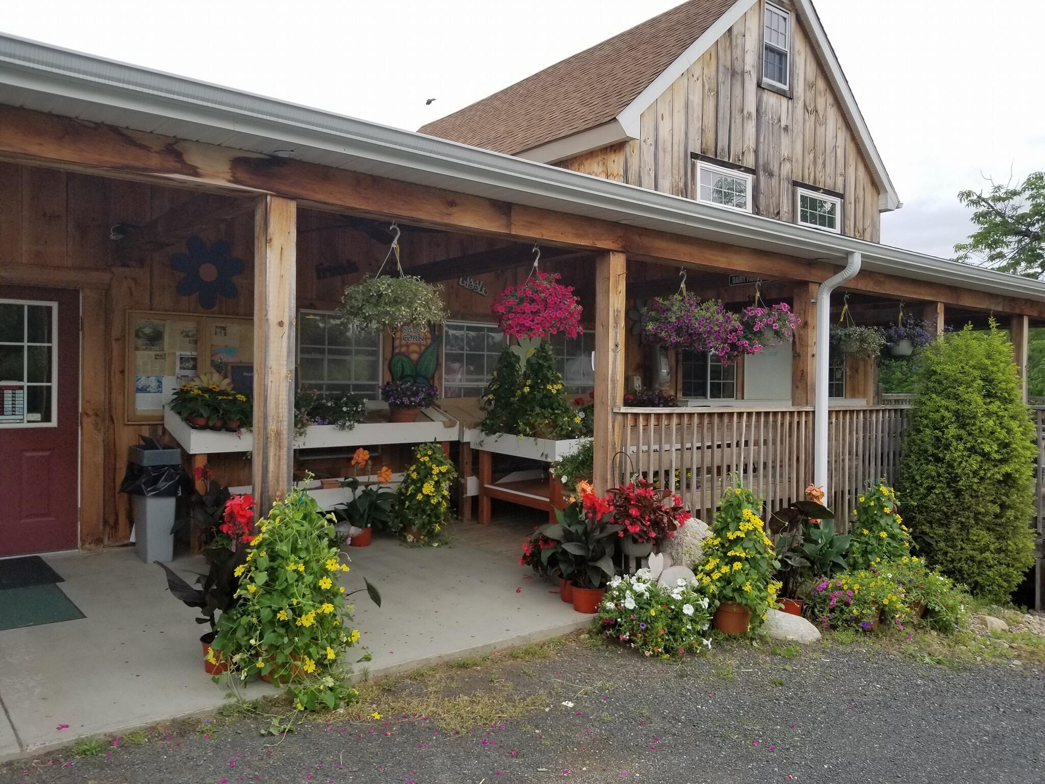 Picture of Clark Farms at Bushy Hill Orchard