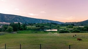 Picture of Misty Mountain B&B