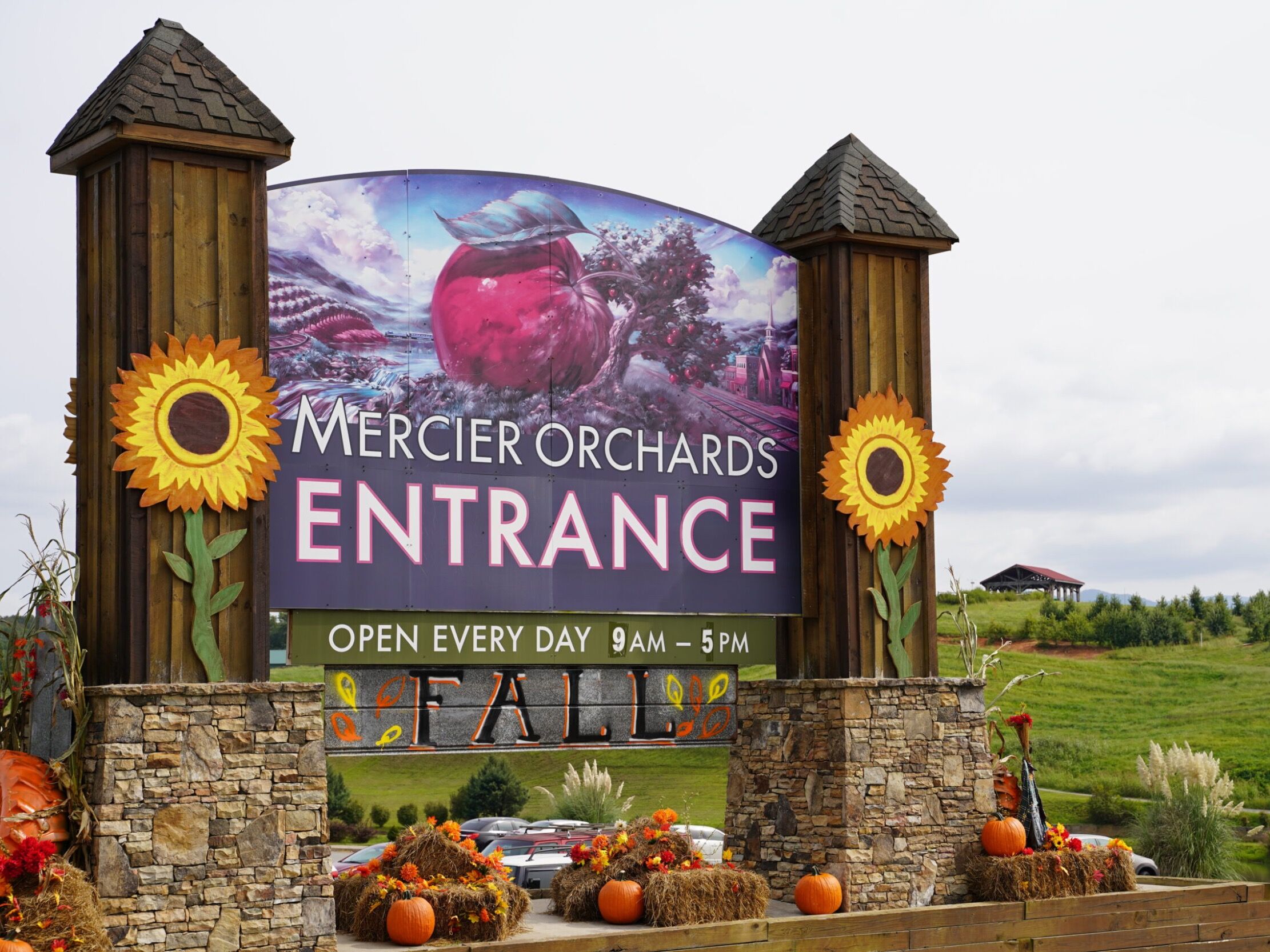Picture of Mercier Orchards