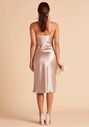Birdy Grey Lisa Midi Dress in Taupe Scoop Bridesmaid Dress - thumbnail - 2