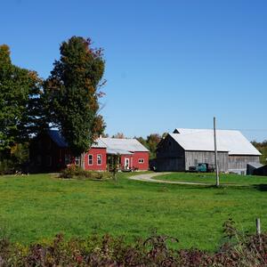 Gallery Photo 38