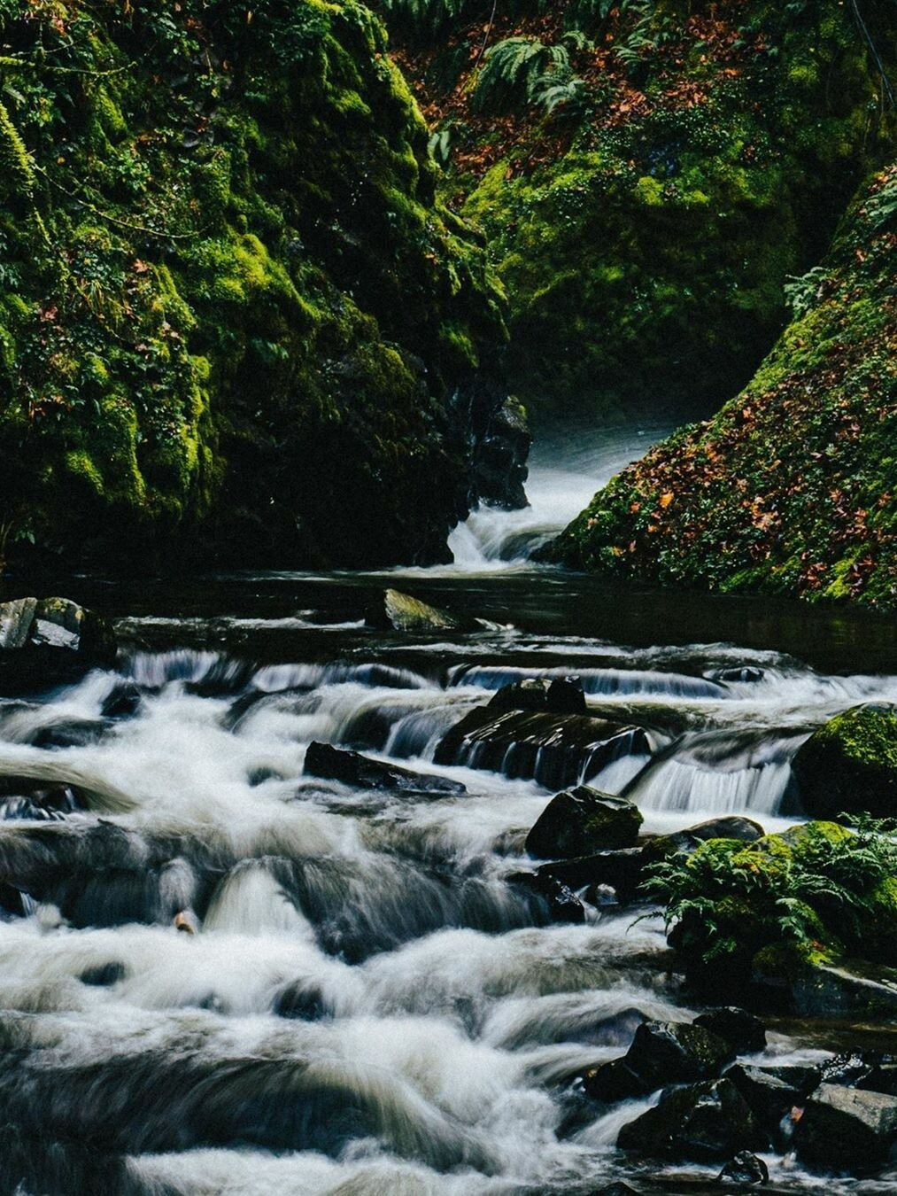 Picture of Bridal Veil Falls