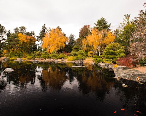 Picture of Denver Botanic Gardens