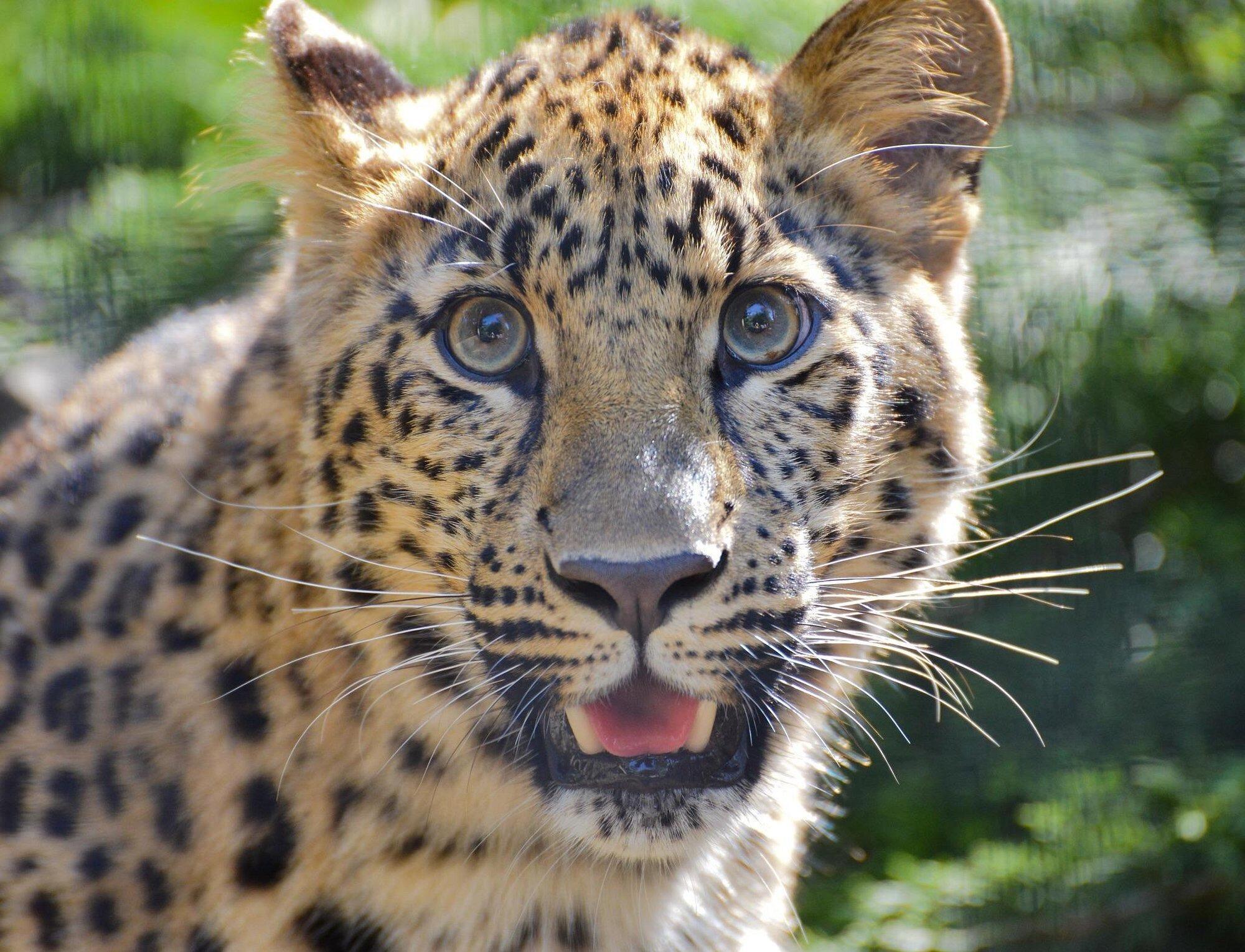 Picture of San Diego Zoo