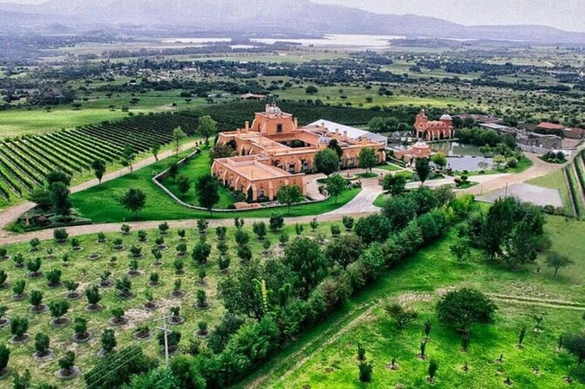 Picture of Vineyard, tour, tasting and fun in San Miguel de Allende