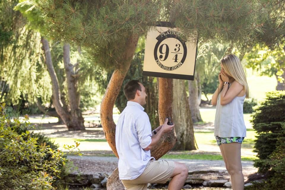 Picture of From Fireball  to Forever
