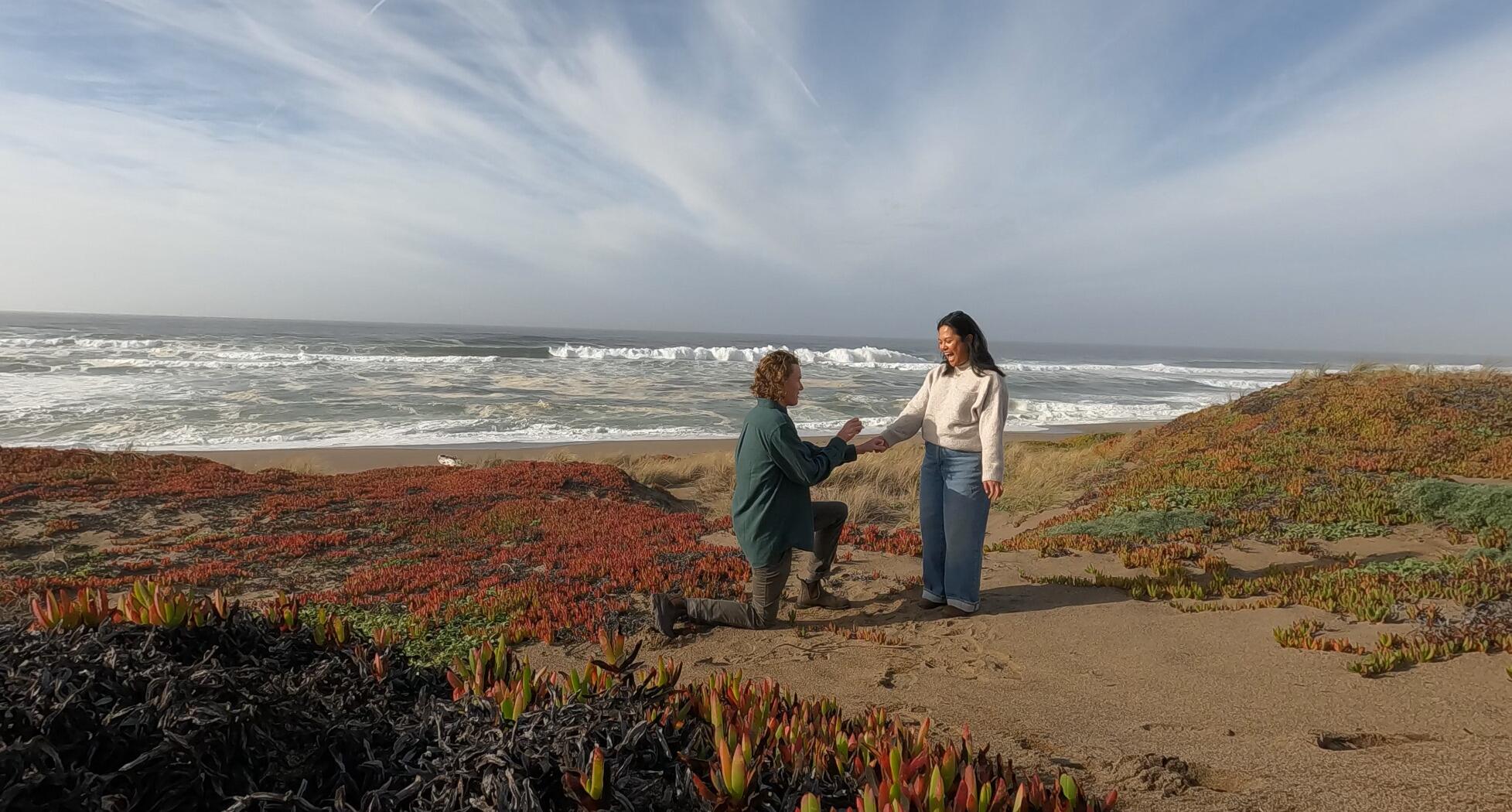 Nick proposed at Point Reyes National Seashore.