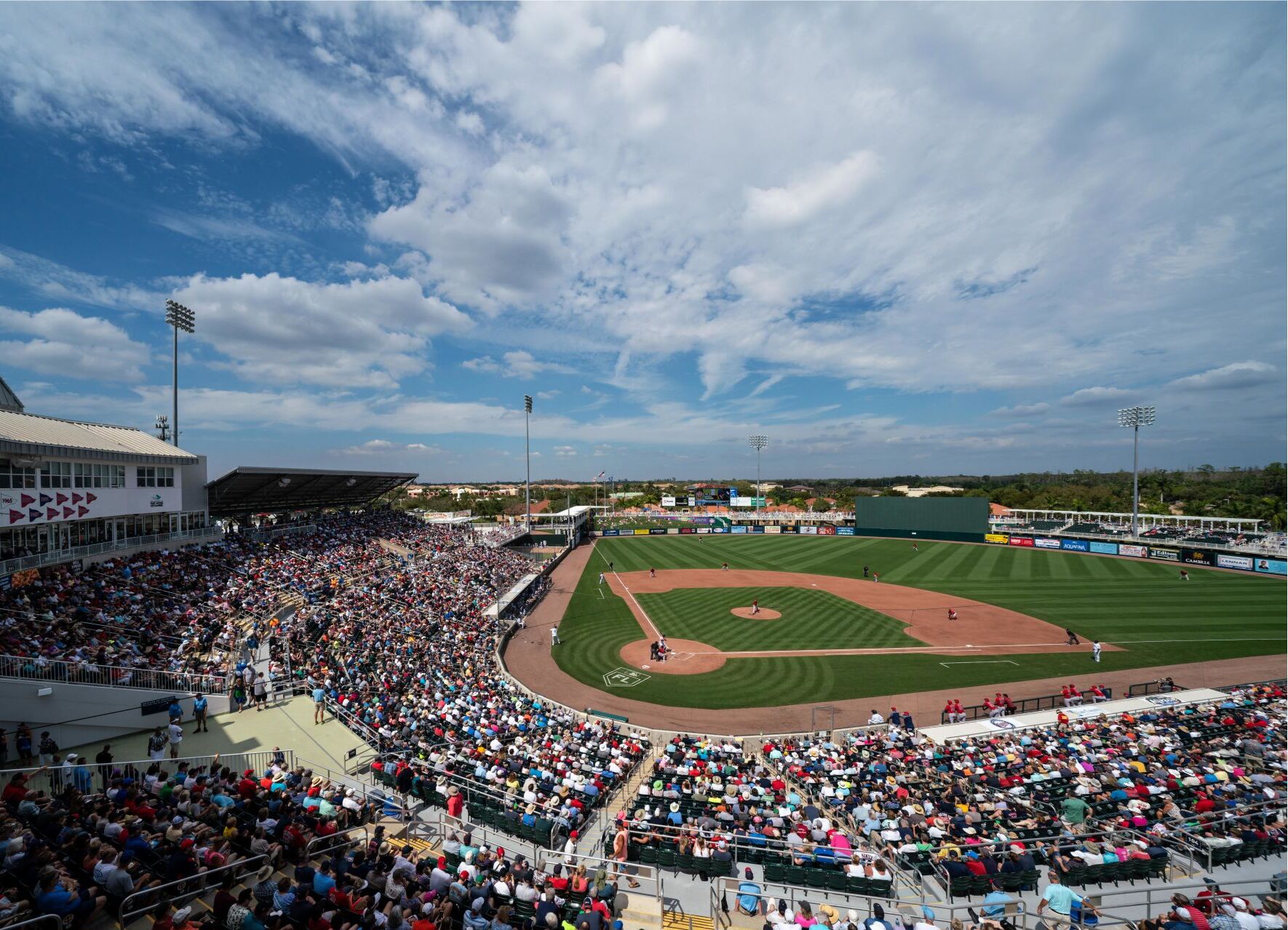 Picture of Mighty Mussels Minor League Baseball