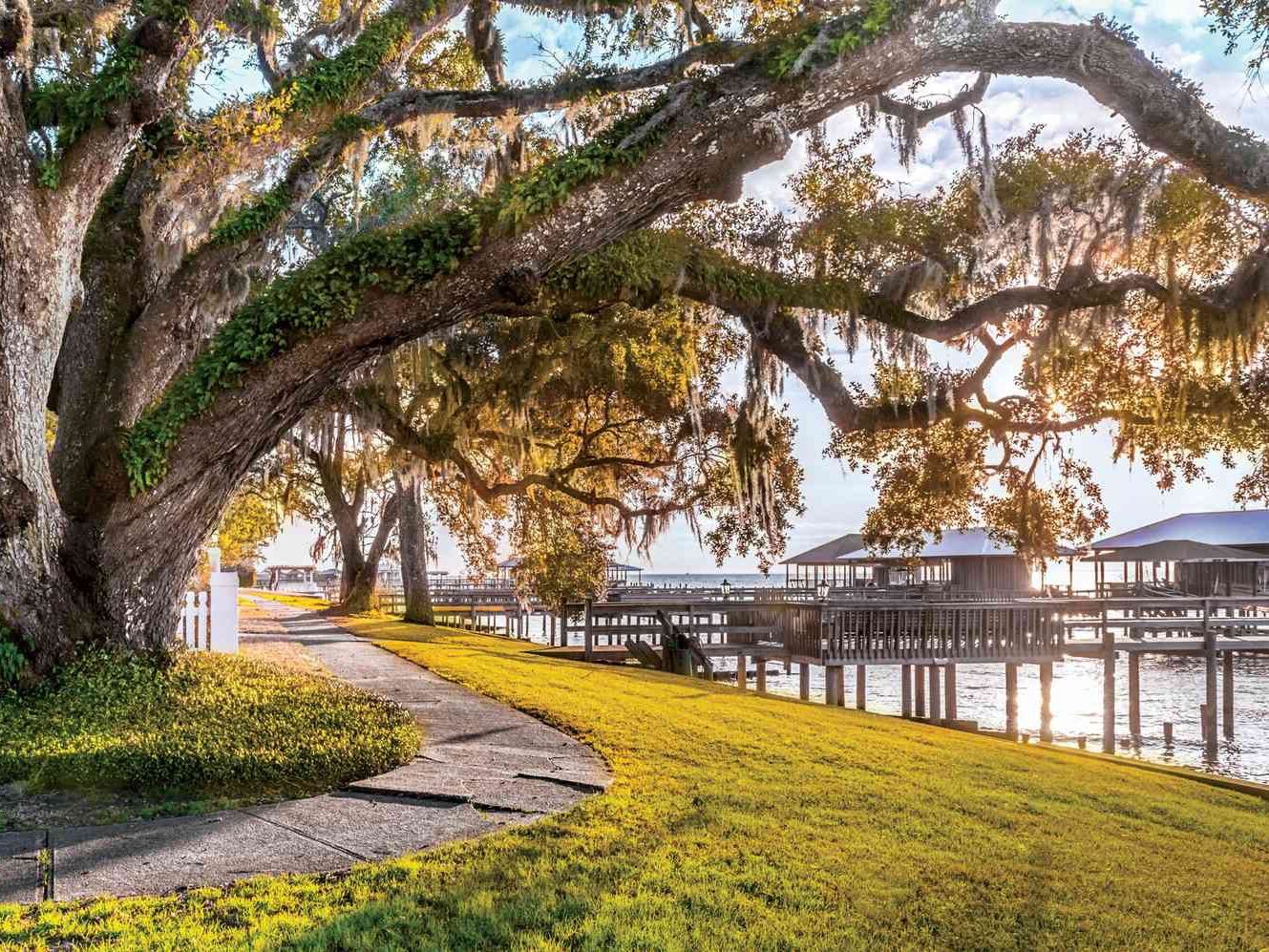 Picture of Fairhope Dining and Nightlife 