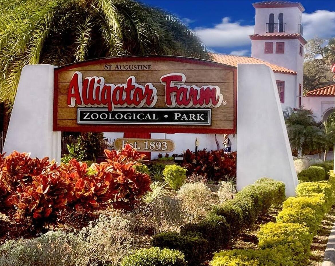 Picture of St. Augustine Alligator Farm Zoological Park