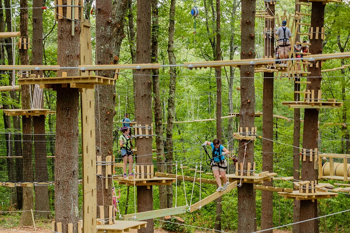 Picture of TreeTop Adventures