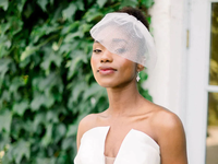 birdcage veil with sparkles