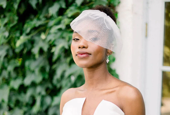 birdcage veil with sparkles