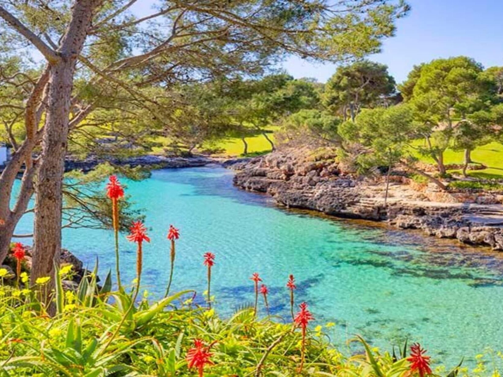 Picture of Cala Mitjana