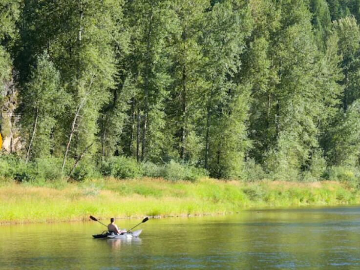 Picture of Coeur d'Alene National Forest