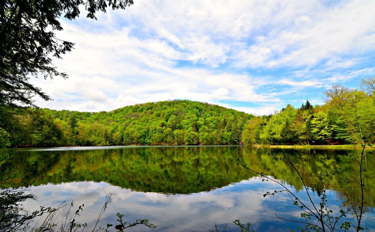 Picture of Marsh-Billings-Rockefeller National Historical Park