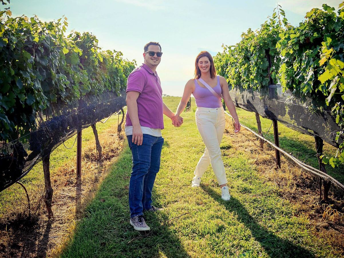 Picture of Wineries & Vineyards