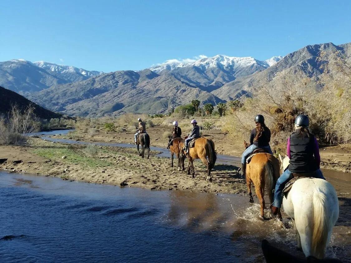 Picture of Smoke Tree Stables