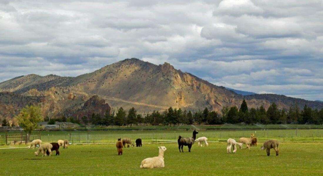 Picture of Crescent Moon Ranch