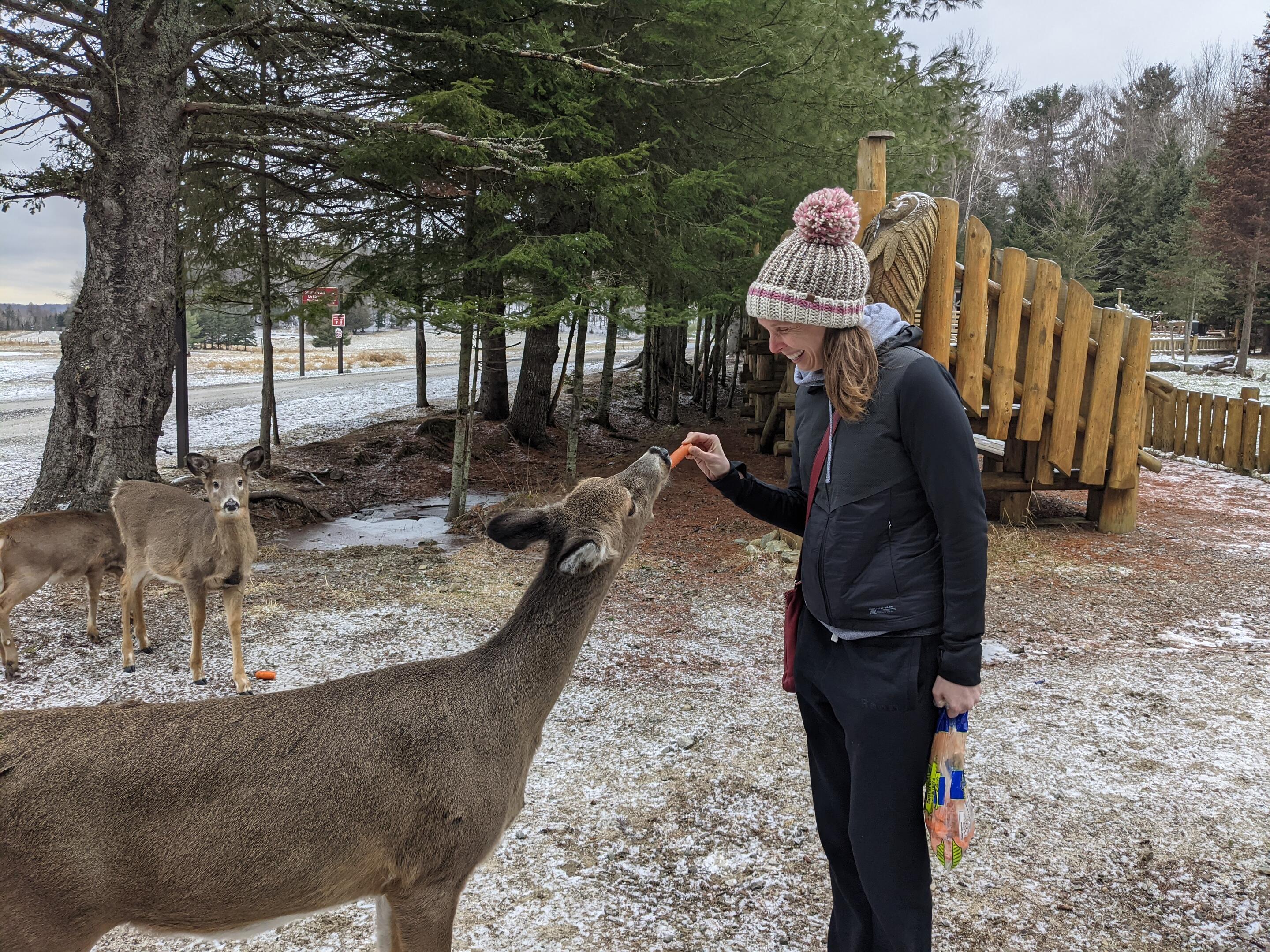 Picture of Parc Omega