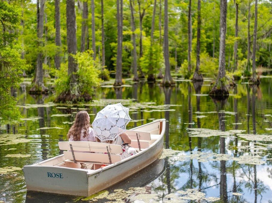 Picture of Cypress Gardens