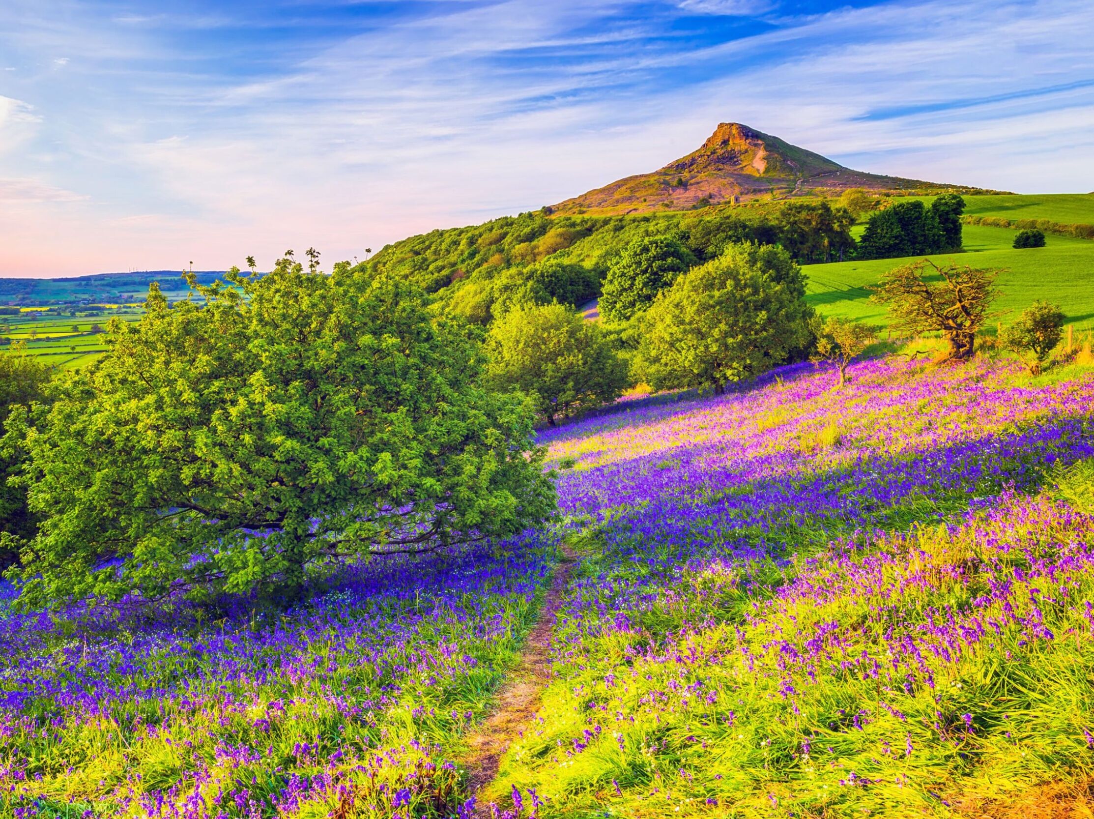 Picture of National Trust - Roseberry Topping
