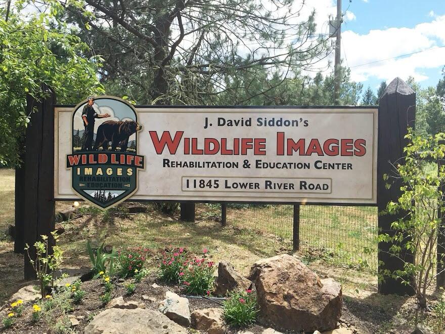 Picture of Wildlife Images 