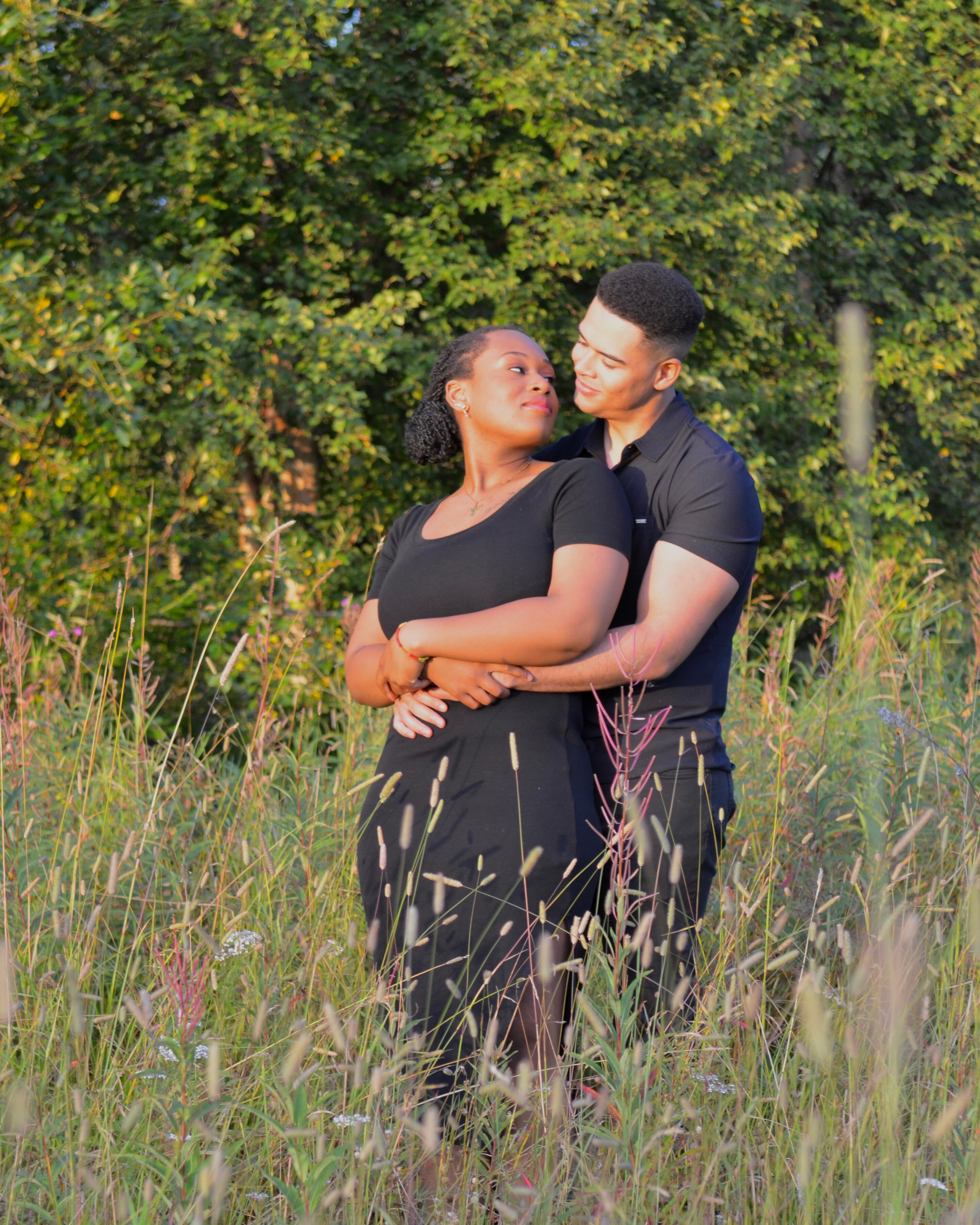 Stewart & Avery Home Page Banner
