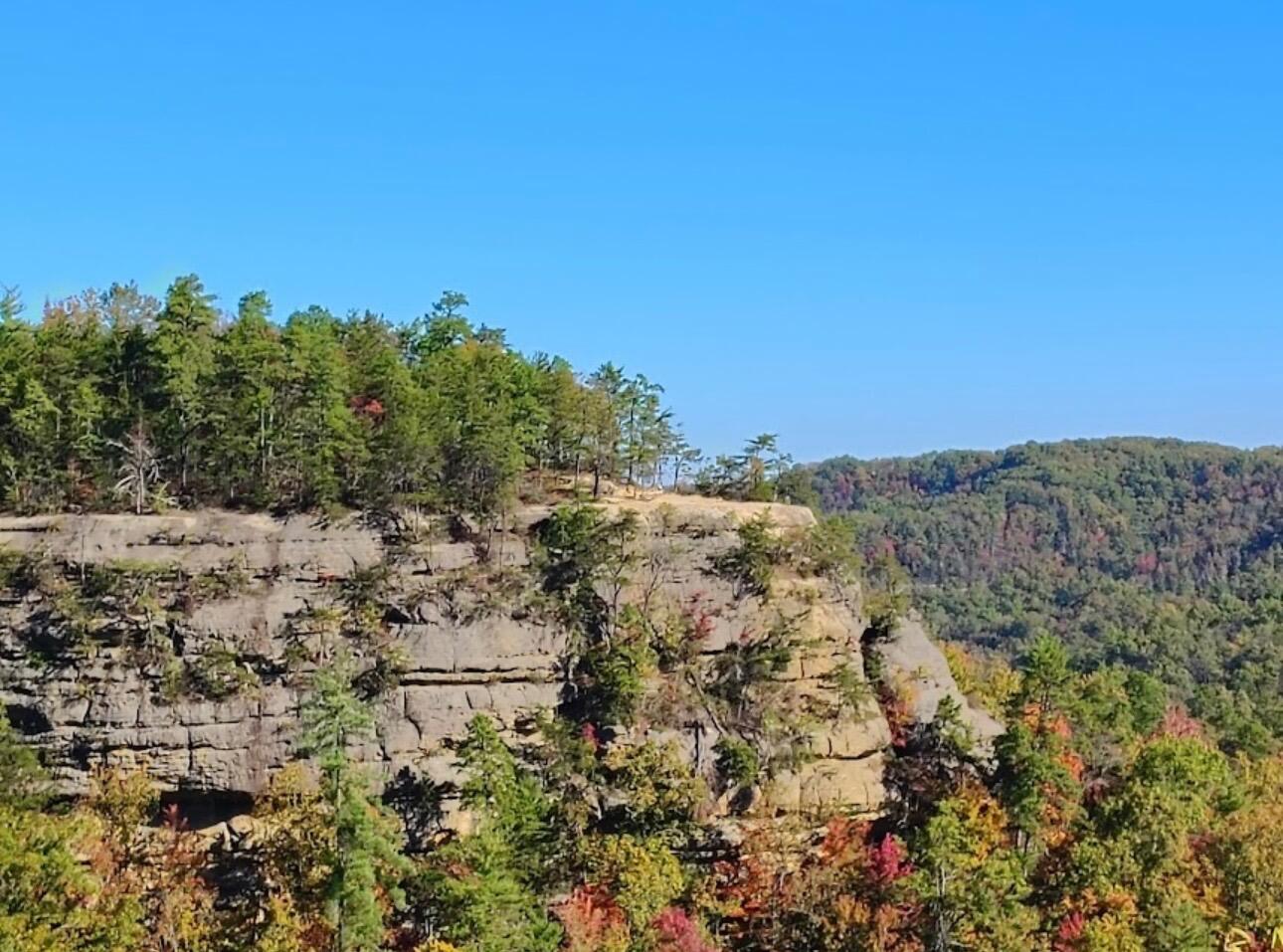 Picture of Natural Bridge State Resort Park